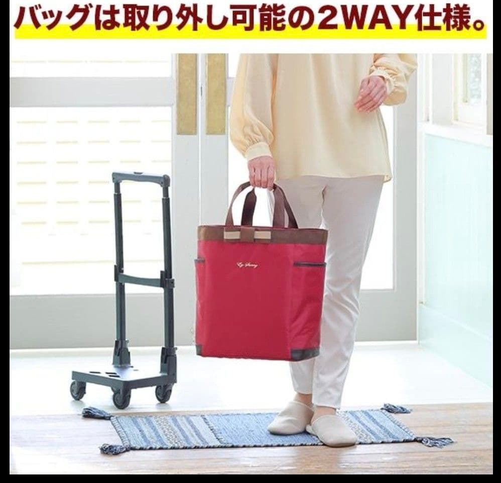 【新品未使用】SWANY ウォーキングカート