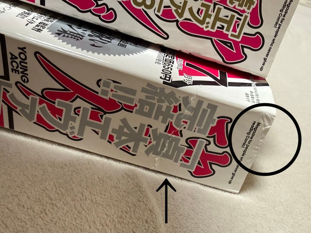 ヤングエース　新世紀エヴァンゲリオン　シンジ　アスカ　レイ