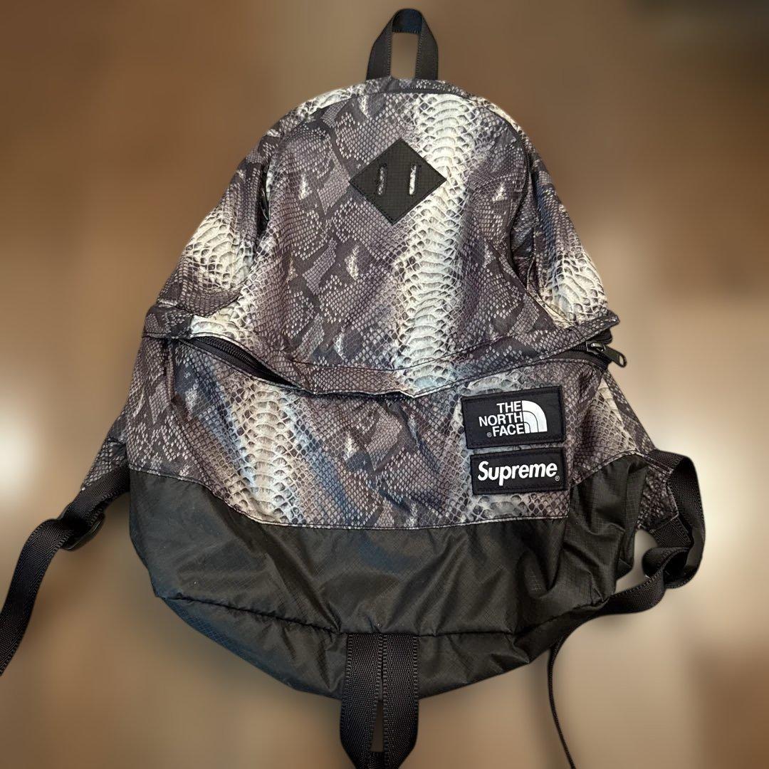 Supreme × THE NORTH FACE ヘビ柄
