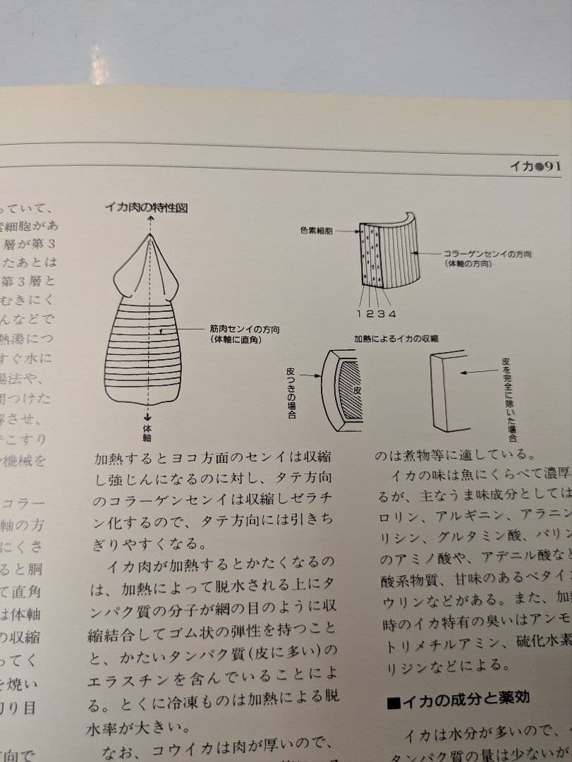 中国料理百科事典 全8巻セット