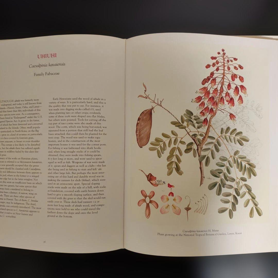 【絶版・大判】ハワイ植物図 A Hawaiian Florilegium 洋書