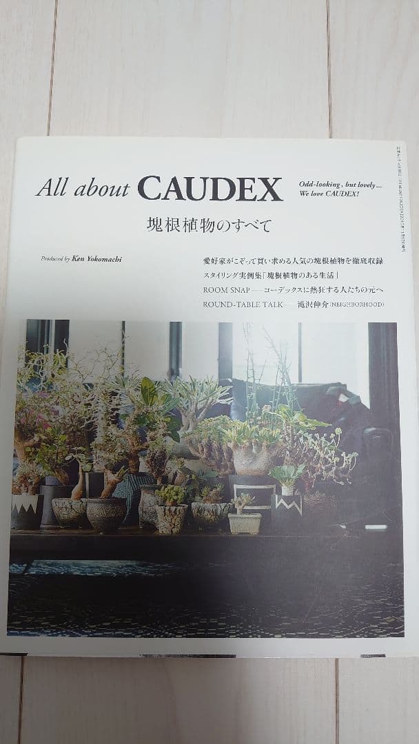 エアプランツLife、MIST LOVERS、他4冊セット