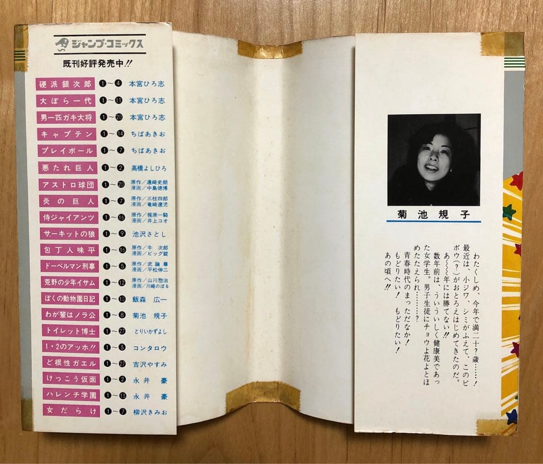 ☆レア☆わが輩はノラ公　菊池規子　1〜11全巻セット　集英社