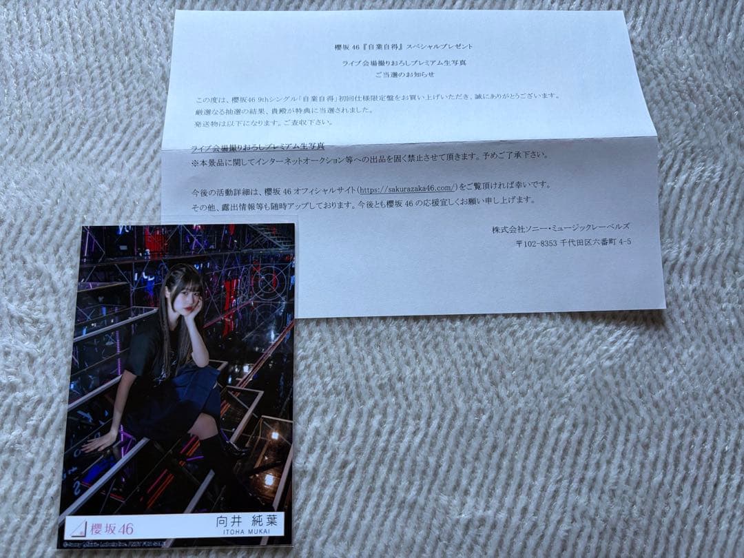 櫻坂46 向井純葉 東京ドーム 撮りおろし 撮り下ろし プレミアム生写真