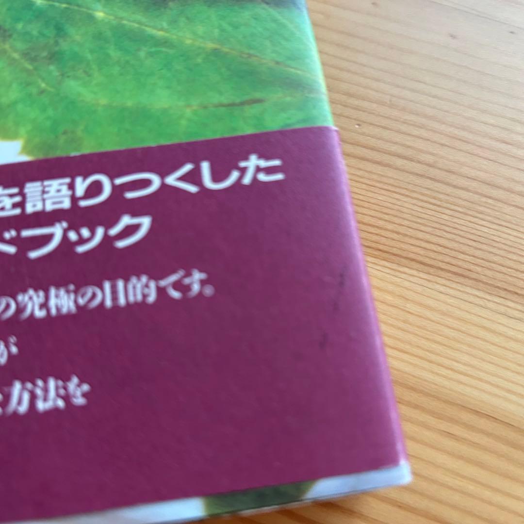 自己を知るヨーガ　スワミ・サッチダーナンダ著