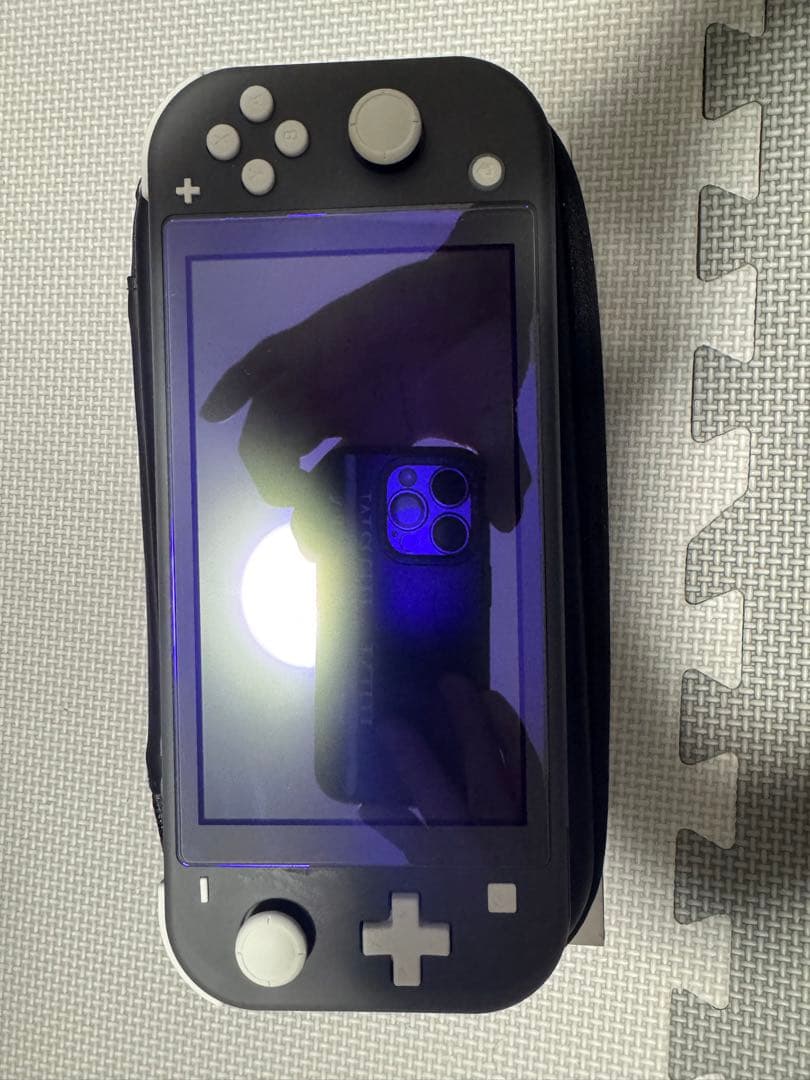 Nintendo Switch Lite グレー　充電コード付き