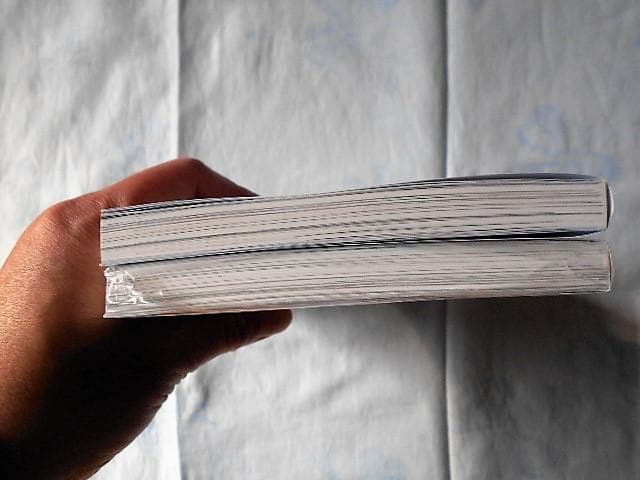 【年末セール】悪女が恋に落ちた時　韓国限定版・日本語版（アニメイト特典付）