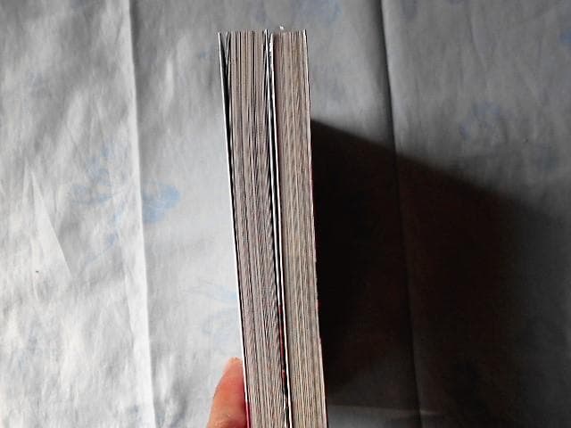 【年末セール】悪女が恋に落ちた時　韓国限定版・日本語版（アニメイト特典付）