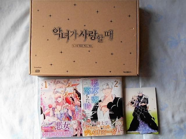 【年末セール】悪女が恋に落ちた時　韓国限定版・日本語版（アニメイト特典付）