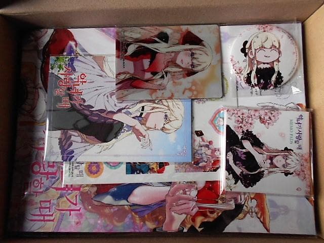 【年末セール】悪女が恋に落ちた時　韓国限定版・日本語版（アニメイト特典付）