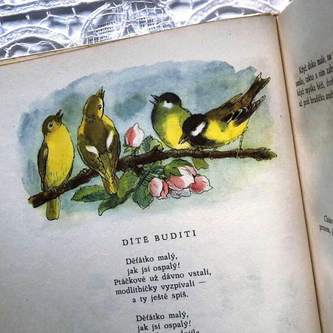 RV38 洋書古書 1956ヴィンテージ 初版本 チェコのおとぎ話の絵本