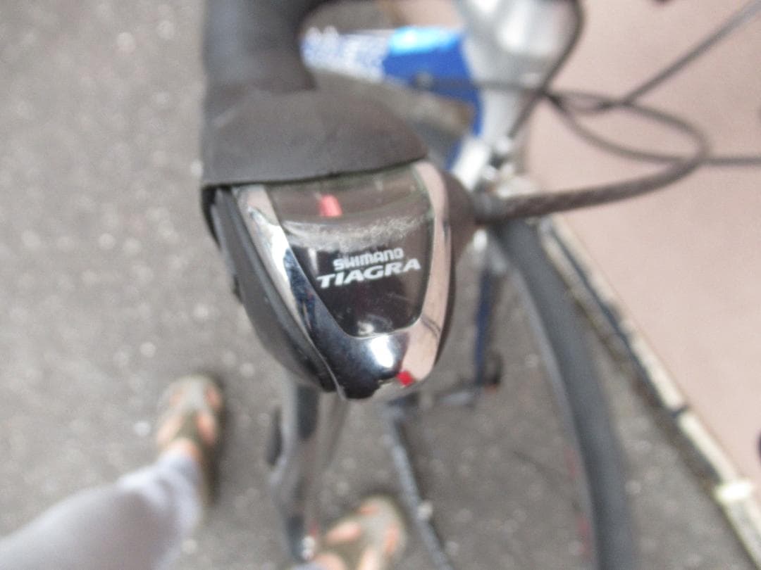 Trek アルミロードバイク 700C