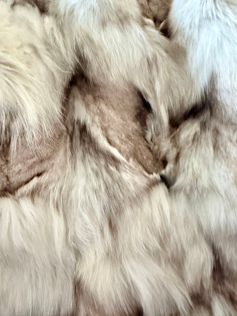 美品！ロートレアモン ブルーフォックス　ファージャケット　毛皮2(M相当)