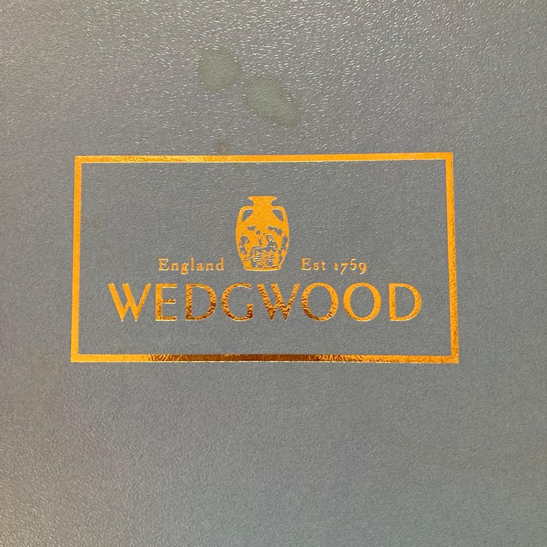 ゆ*ん様  WILD STRAWBERRY 皿 5枚セット