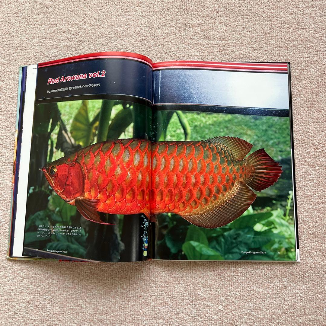 プラタパッド　アジアアロワナ専門誌　58冊セット