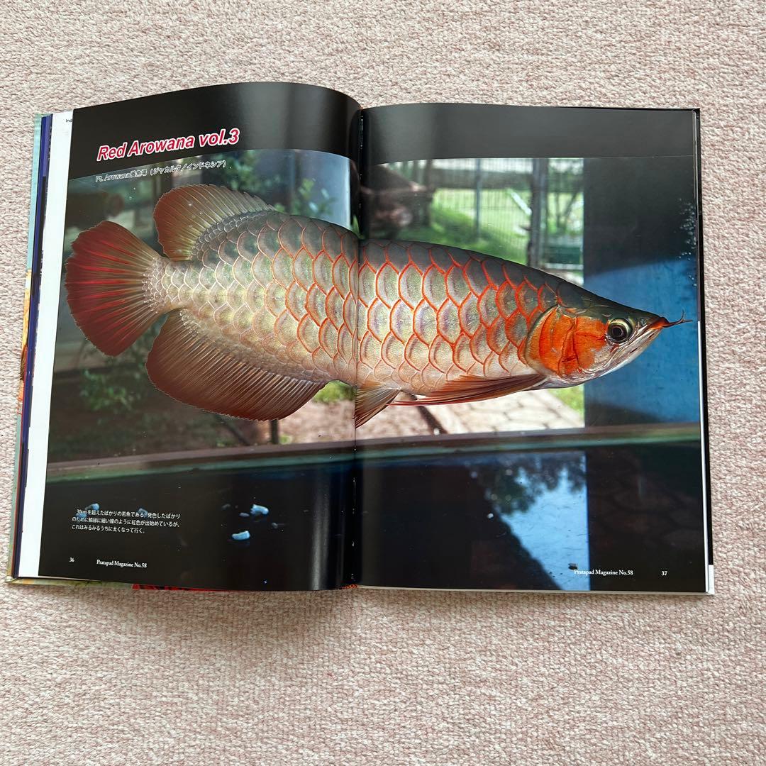 プラタパッド　アジアアロワナ専門誌　58冊セット