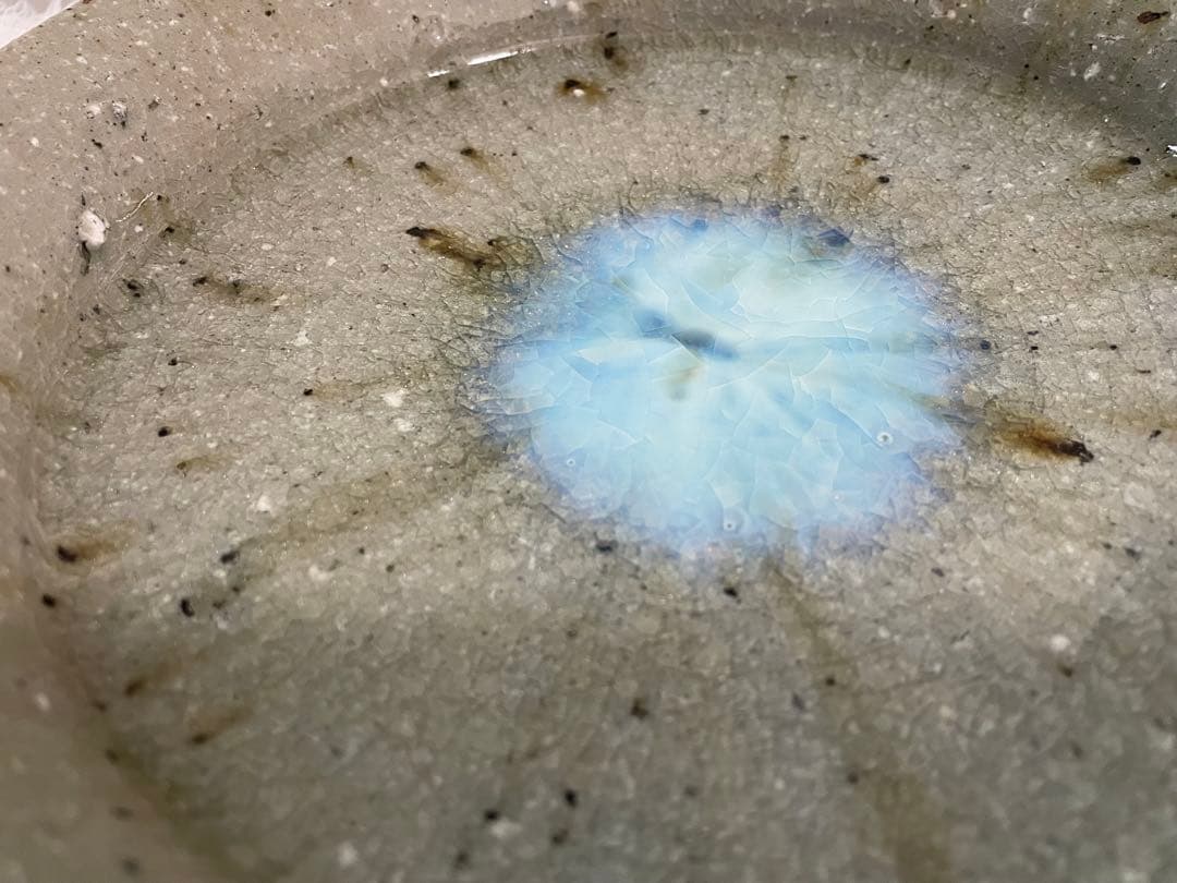 宮城陶器_ 宮城正幸 青磁釉 皿