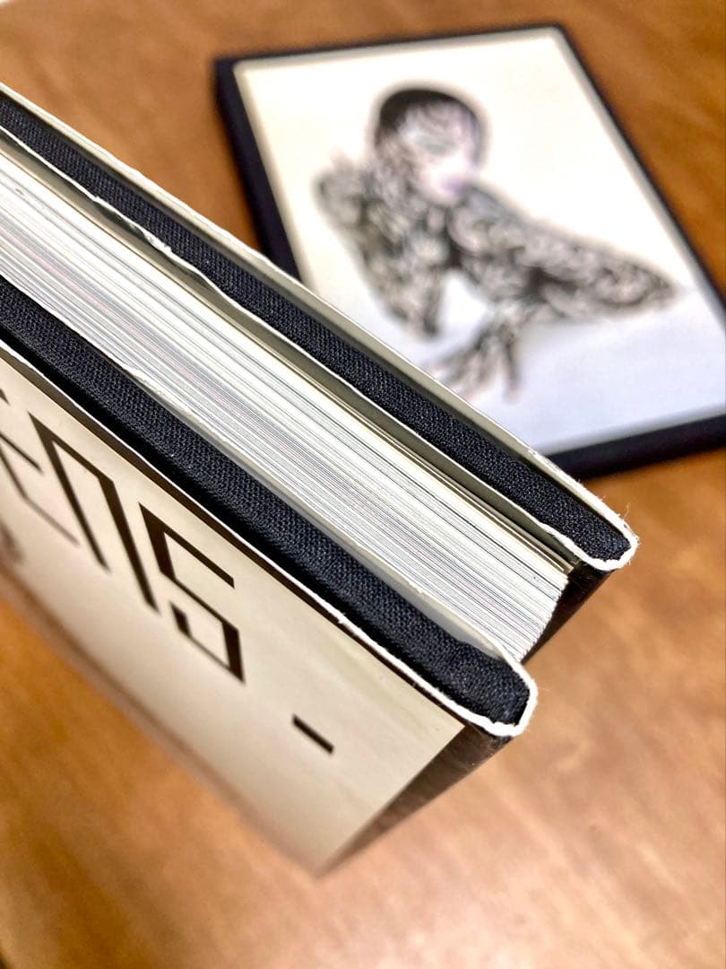 大判洋書 セルジュ・ルタンス SERGE LUTENS 写真集 函付き