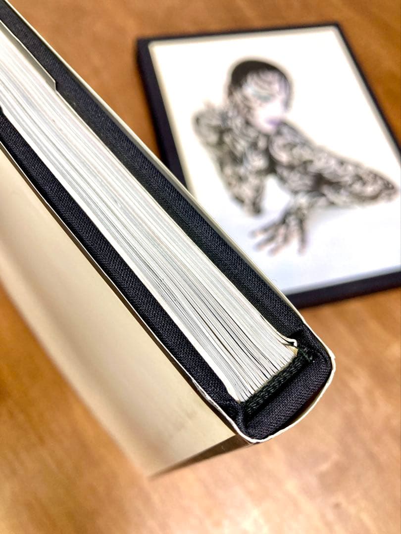 大判洋書 セルジュ・ルタンス SERGE LUTENS 写真集 函付き