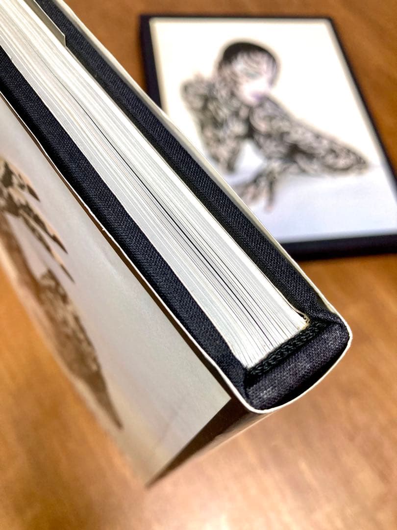 大判洋書 セルジュ・ルタンス SERGE LUTENS 写真集 函付き