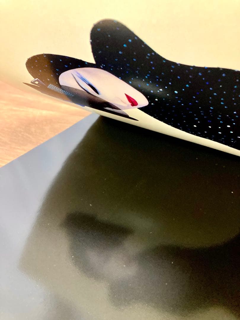 大判洋書 セルジュ・ルタンス SERGE LUTENS 写真集 函付き