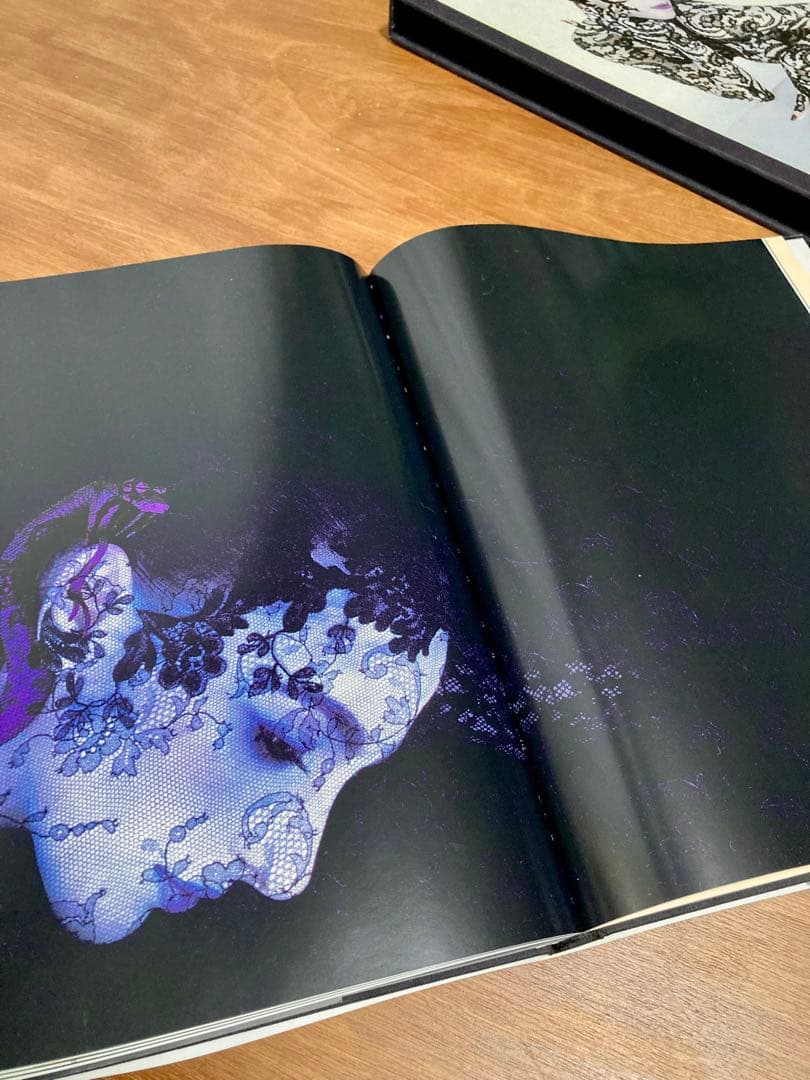 大判洋書 セルジュ・ルタンス SERGE LUTENS 写真集 函付き