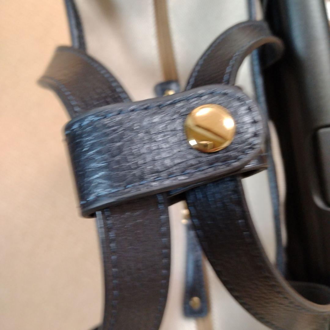 スワニーピーターラビットコラボキャリーバッグ Swany 大きいサイズ