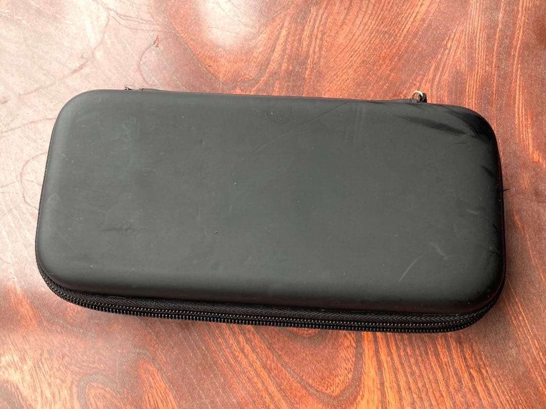 Switch Lite 任天堂 (ケース付)