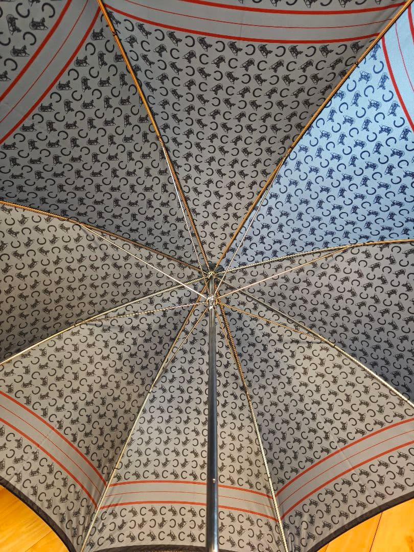 く*プ様 セリーヌ✕ノエビアノエビア化粧品　ノベルティ長傘