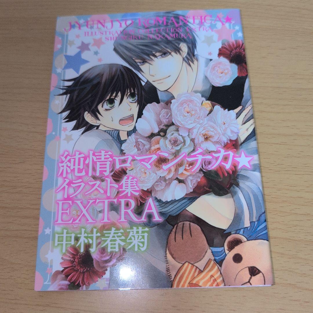 純情ロマンチカ 計32冊 セット 中村春菊 全巻 セット まとめ ボーイズラブ