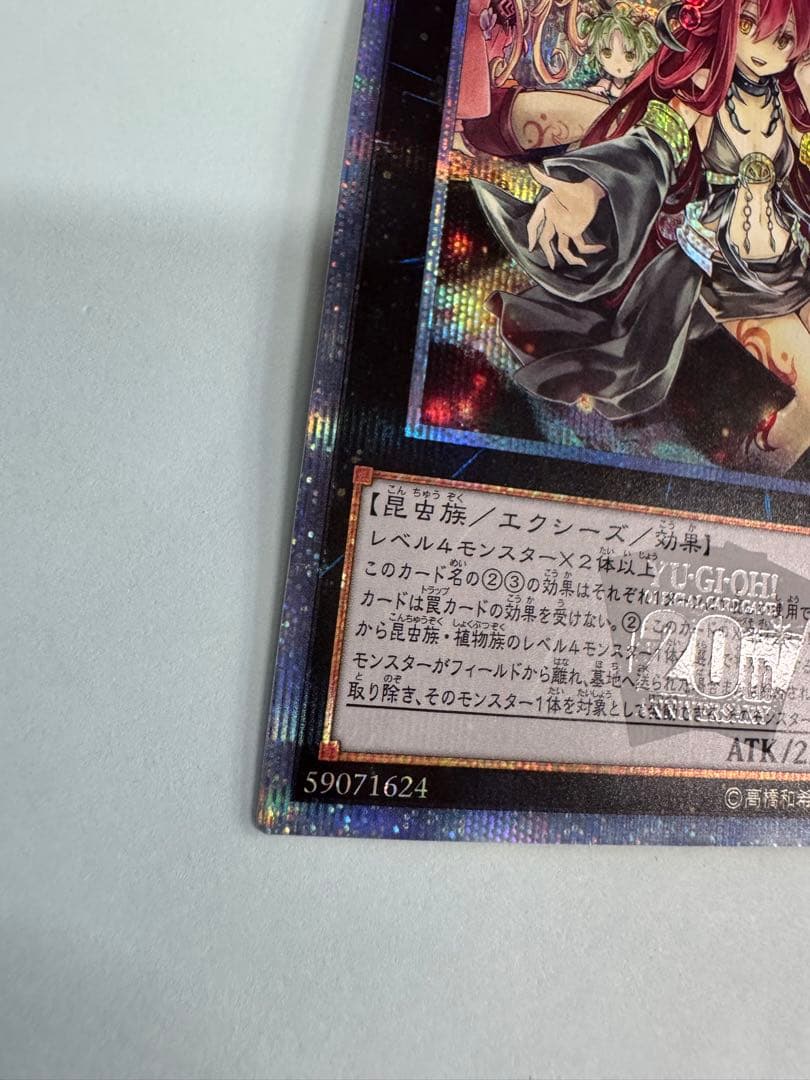 遊戯王　アロメルスの蟲惑魔　20th