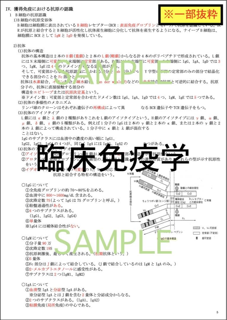 臨床検査技師 国家試験 主要7教科 過去問 対策 まとめ ノート 教科選択可