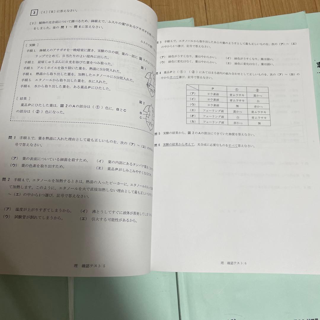 2024年度受験用の早稲田アカデミー NN早実前期 テキスト　おまけ付き