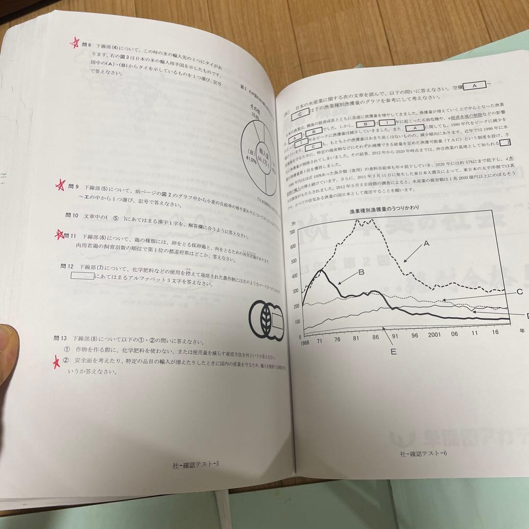 2024年度受験用の早稲田アカデミー NN早実前期 テキスト　おまけ付き