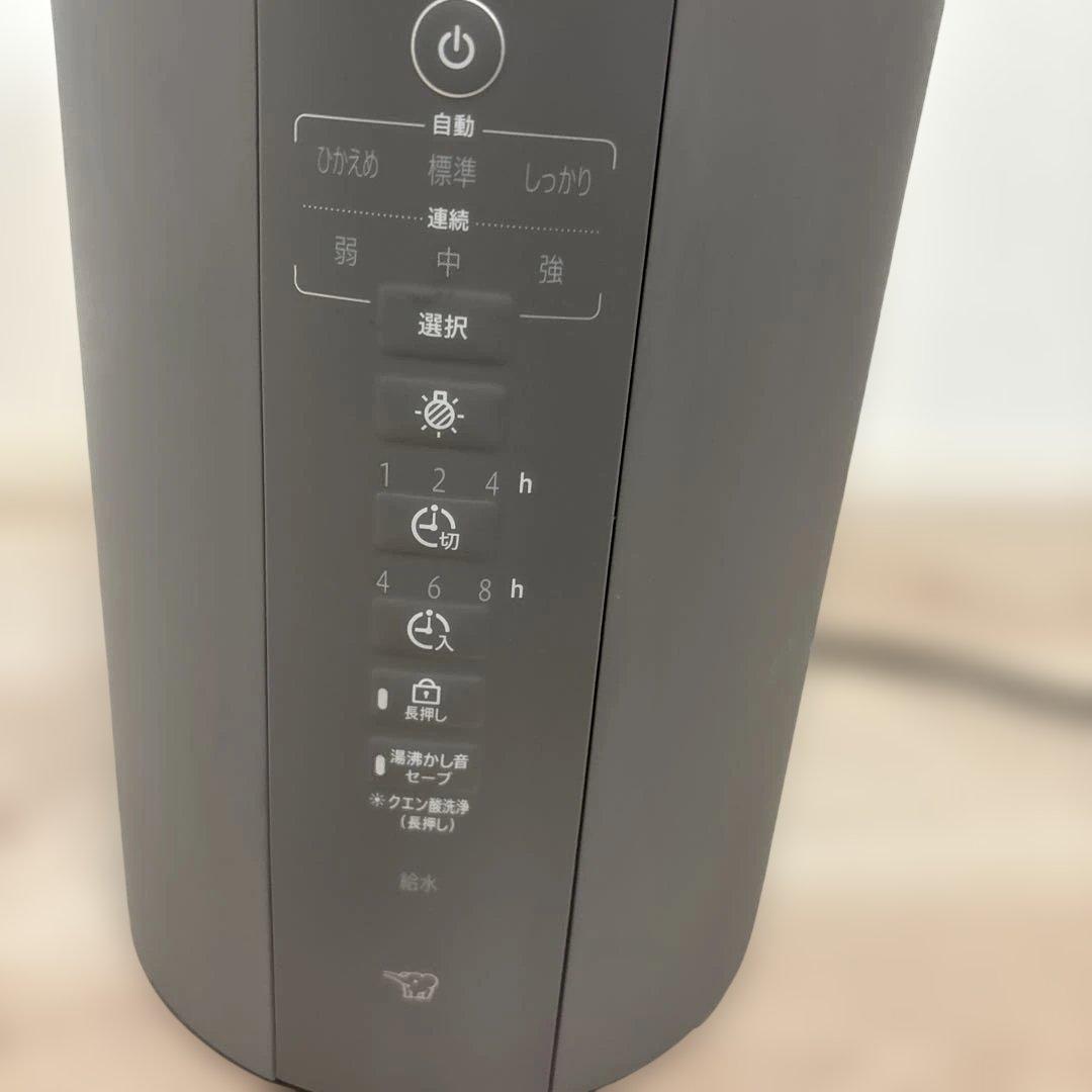 【早い者勝ち‼️】象印 スチーム式加湿器 EE-DF35型 2025モデル グレー