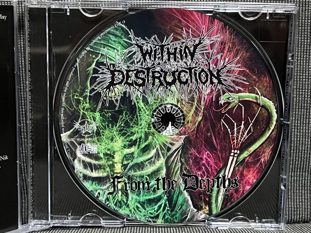 【WITHIN DESTRUCTION】【From The...】【デスコア】