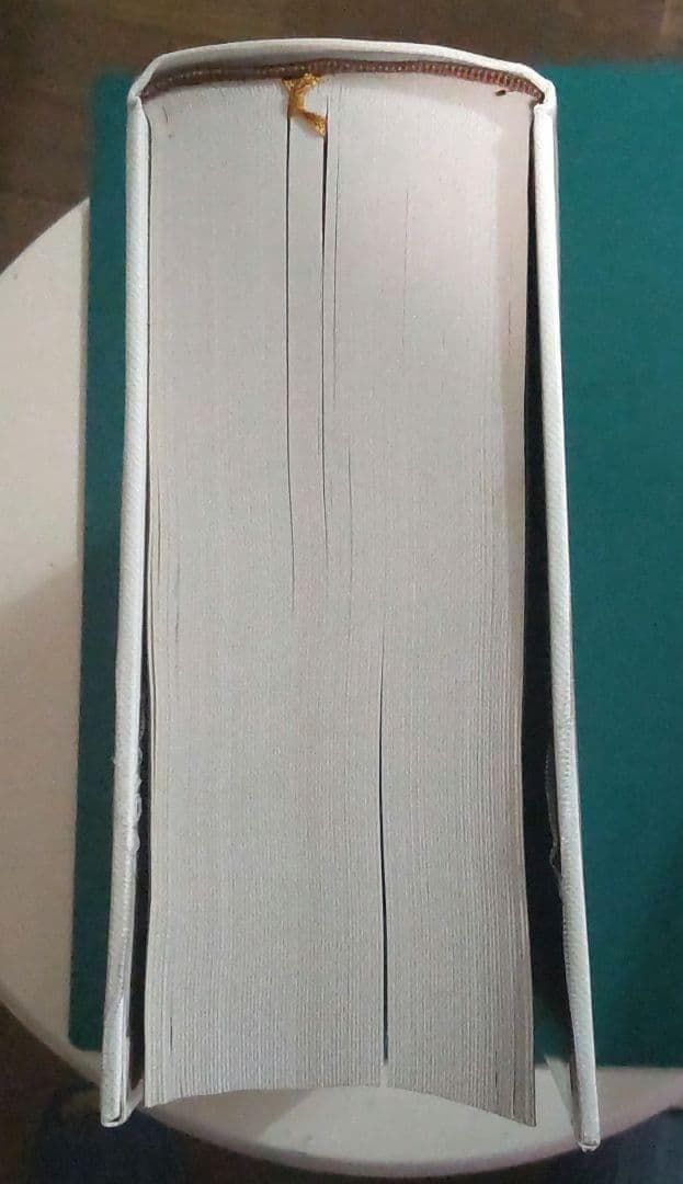 エスコフィエ フランス料理 LEGUIDE CULINAIRE 中古本 ケース付