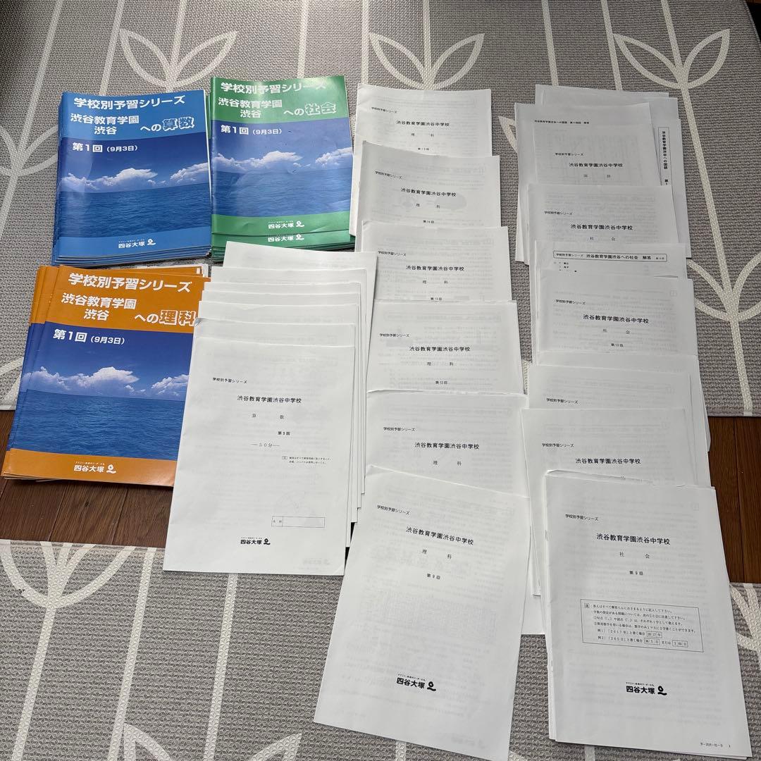 渋谷教育学園渋谷　学校別シリーズ　1-15 抜一部　中学受験