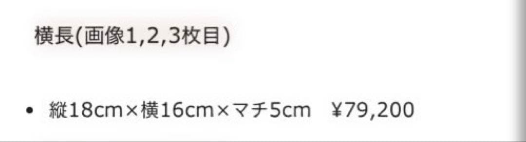 S*A様 コムデギャルソン 青山限定 ショルダーバッグ
