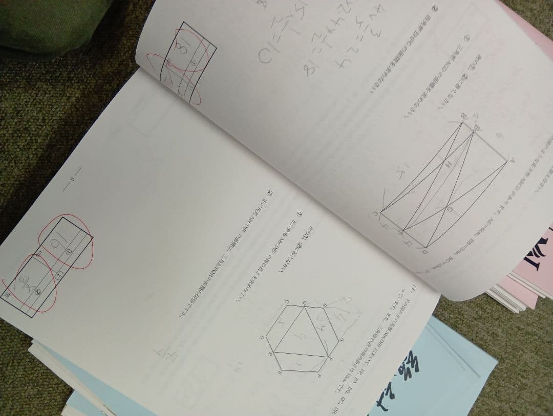 早稲田アカデミーNN早実　前期後期/日特/土特/夏期/正月/直前/副教材2024
