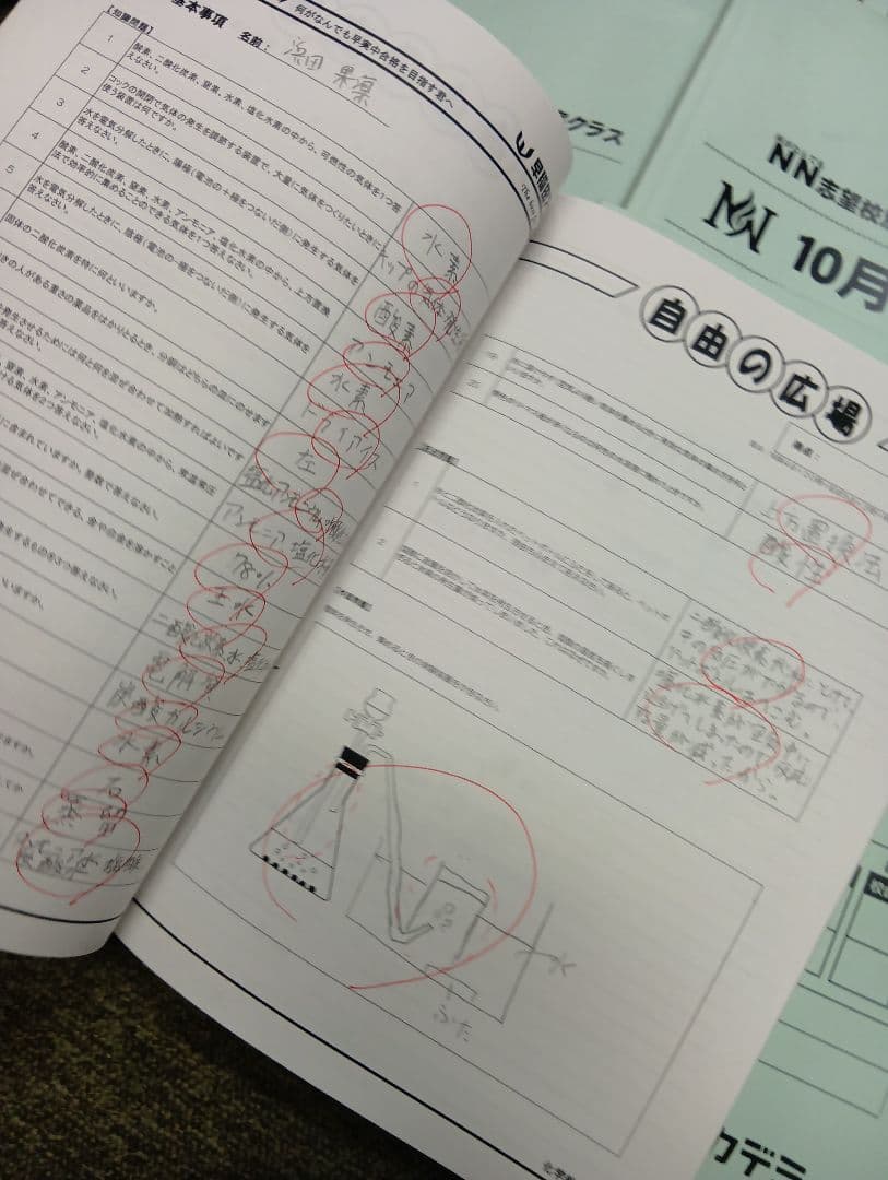 早稲田アカデミーNN早実　前期後期/日特/土特/夏期/正月/直前/副教材2024