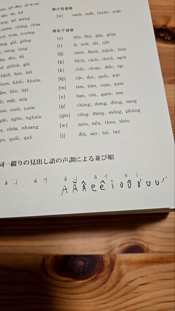 詳解ベトナム語辞典　川本邦衛著