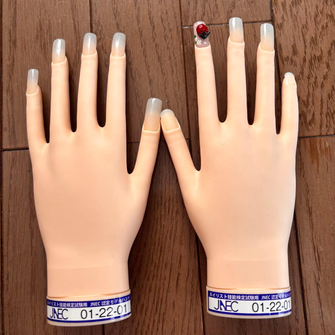 JNEC認定モデルハンド 【美品】