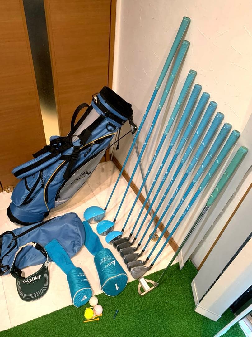豪華　レディースゴルフクラブ 本格フルセット　ワールドイーグル　プロ推進　優しい