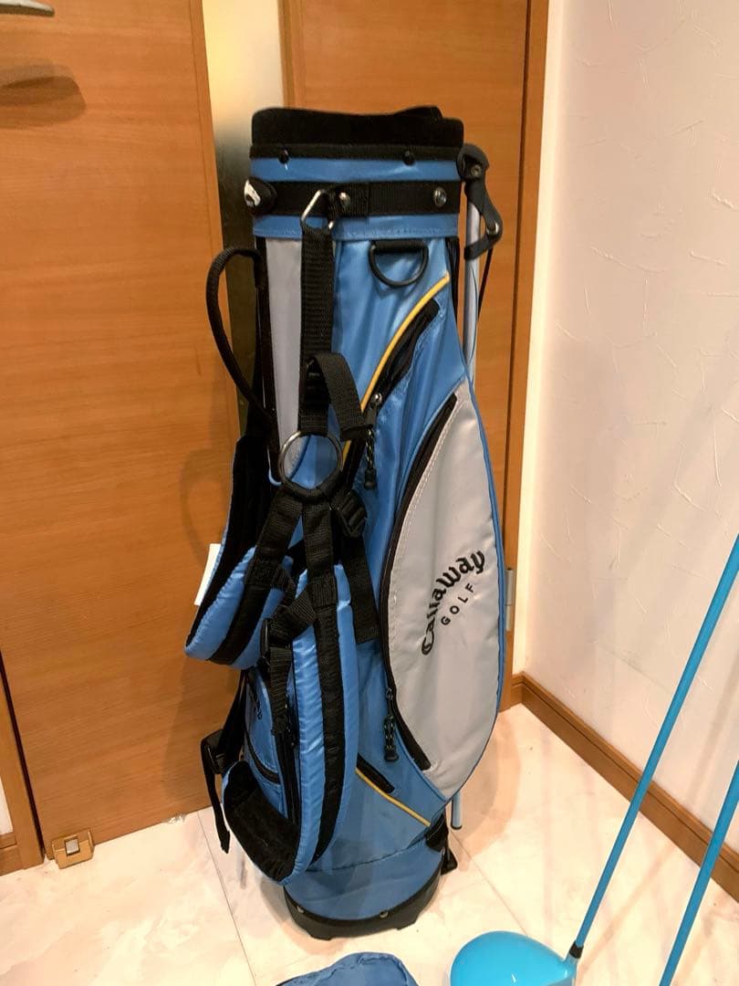 豪華　レディースゴルフクラブ 本格フルセット　ワールドイーグル　プロ推進　優しい