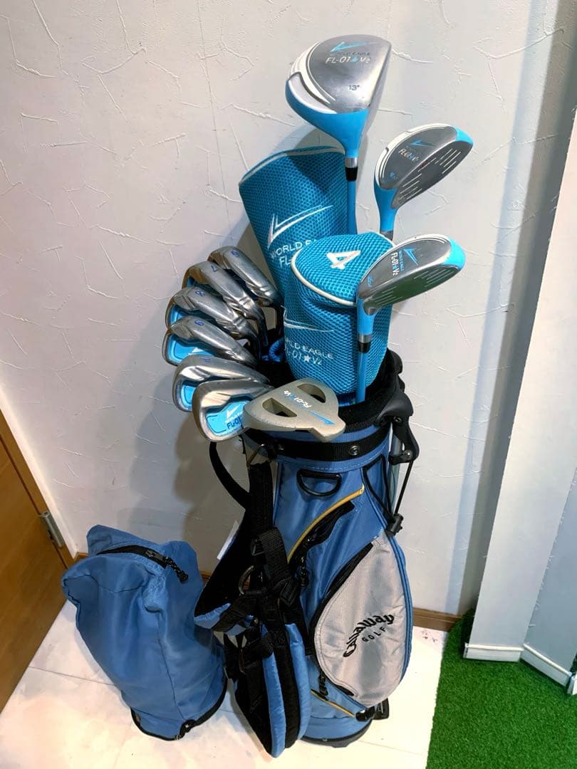 豪華　レディースゴルフクラブ 本格フルセット　ワールドイーグル　プロ推進　優しい