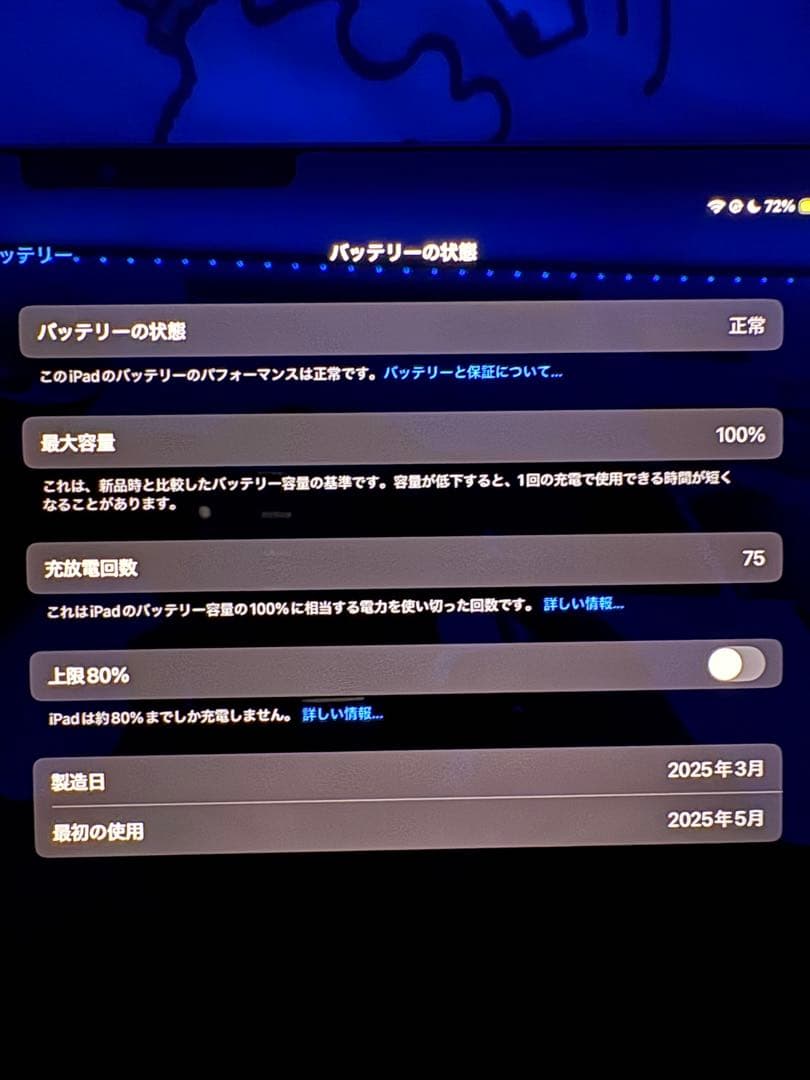 iPad 11インチ M4 第5世代 本体 WiFiモデル256GB