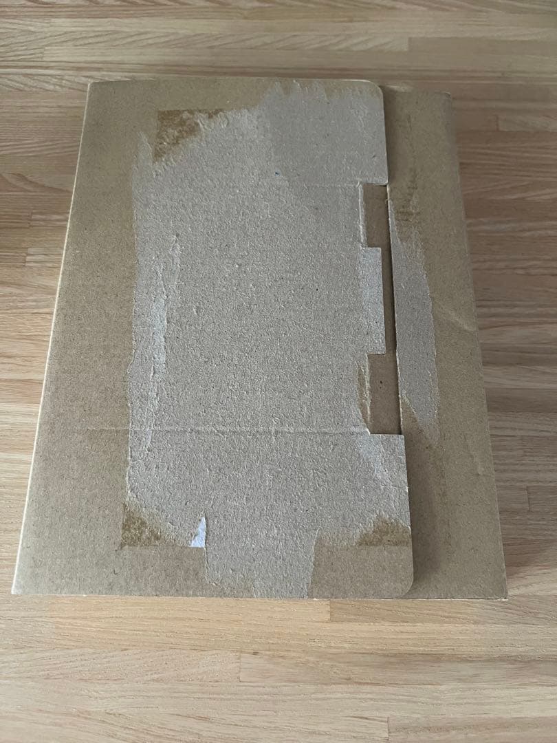 バットホップDVD BAD HOP THE FINAL 東京ドーム