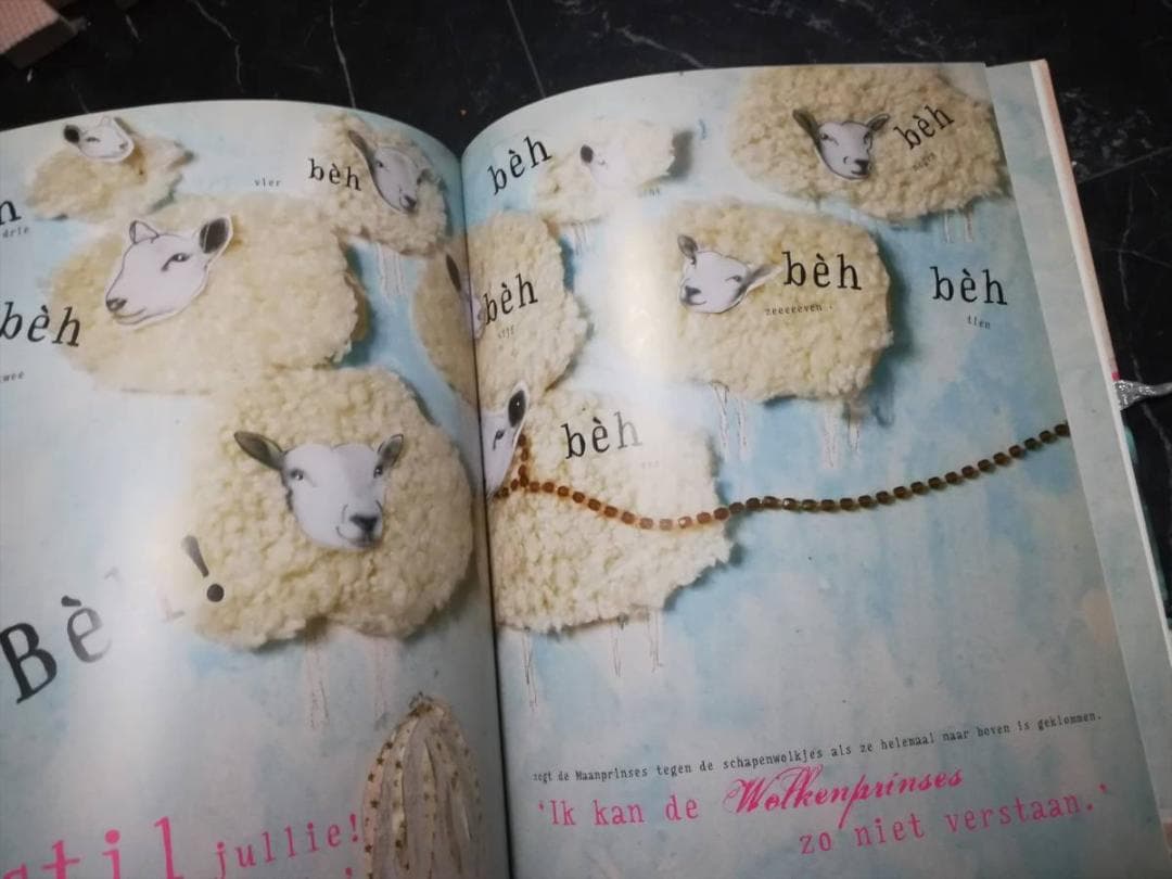 オランダ語 絵本 HetHet prinsessenboek デザイン アート