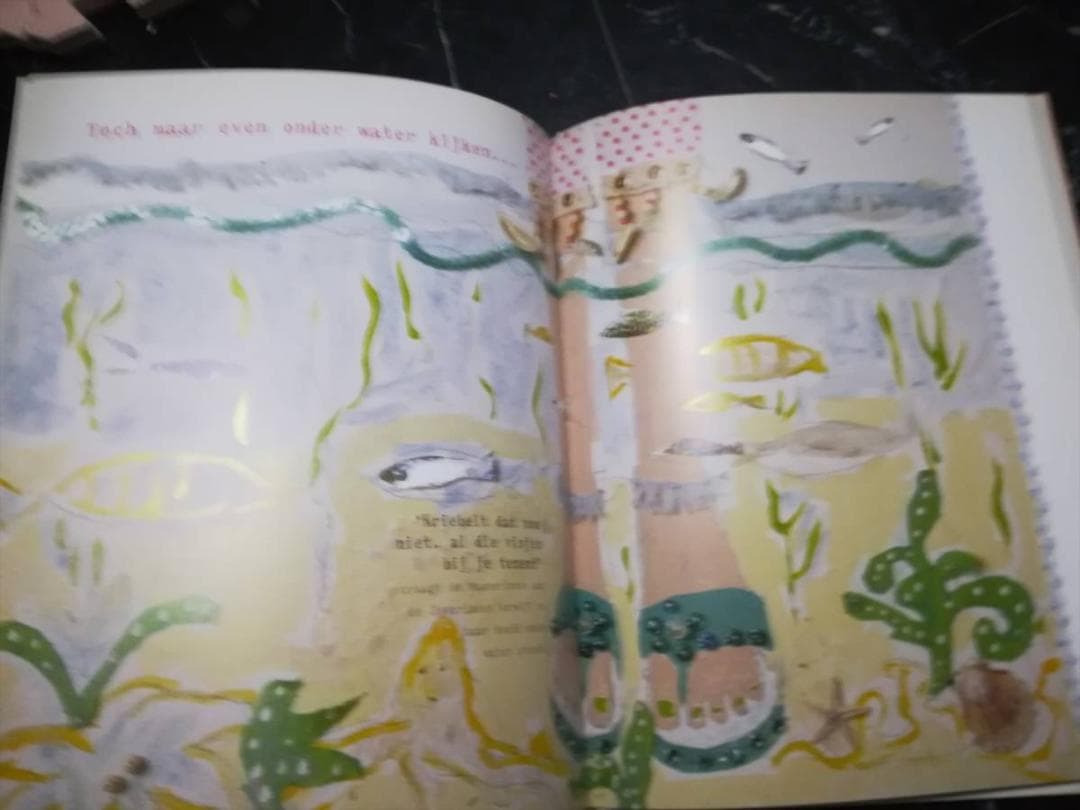 オランダ語 絵本 HetHet prinsessenboek デザイン アート